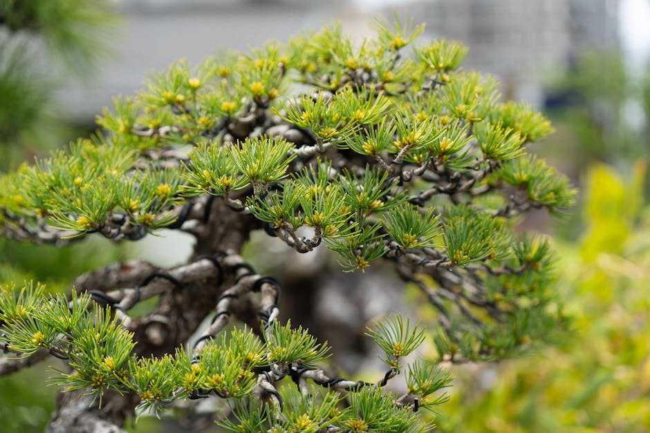Omiya Bonsai Village