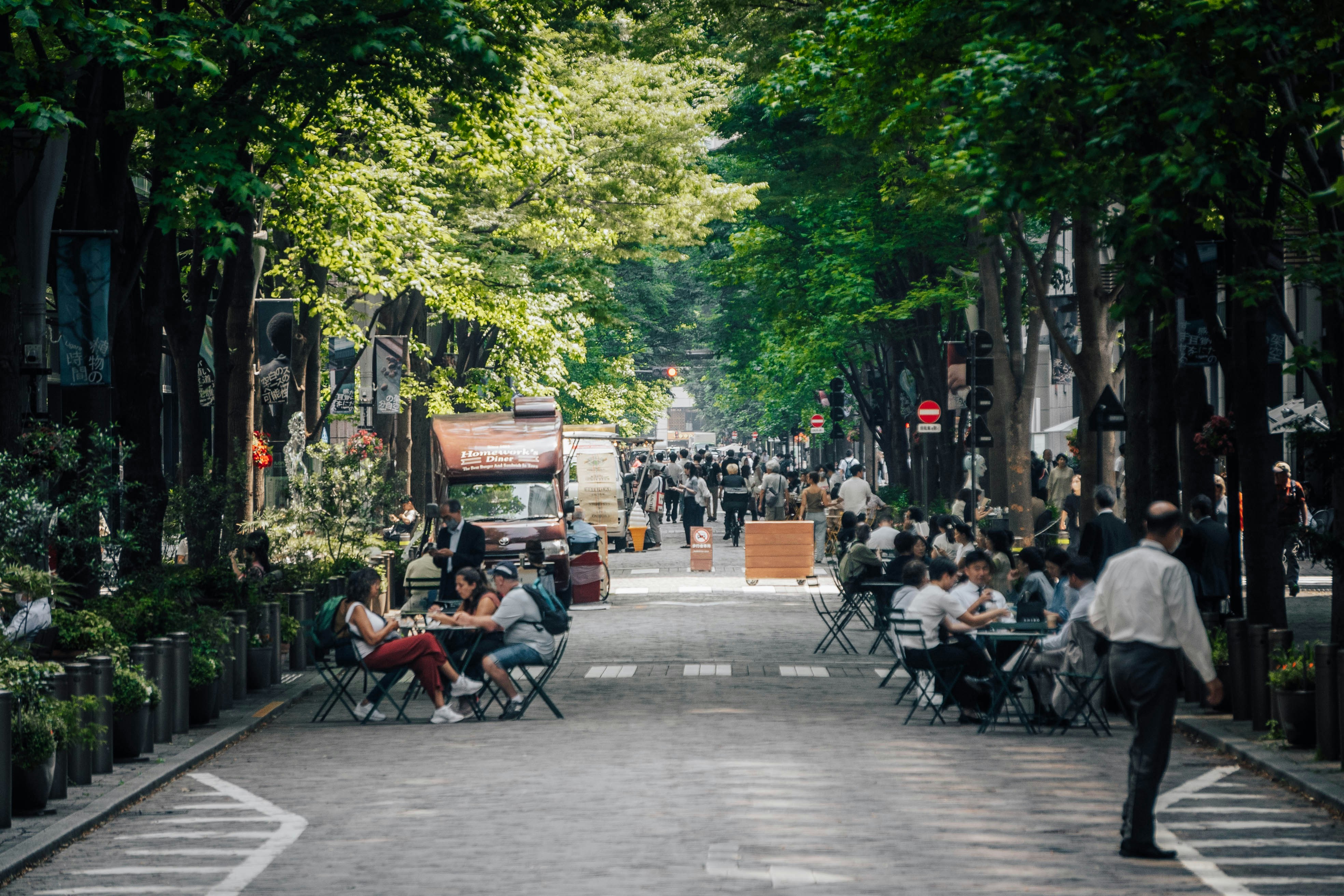 A quiet tree-lined street in Japan in soft seasonal light