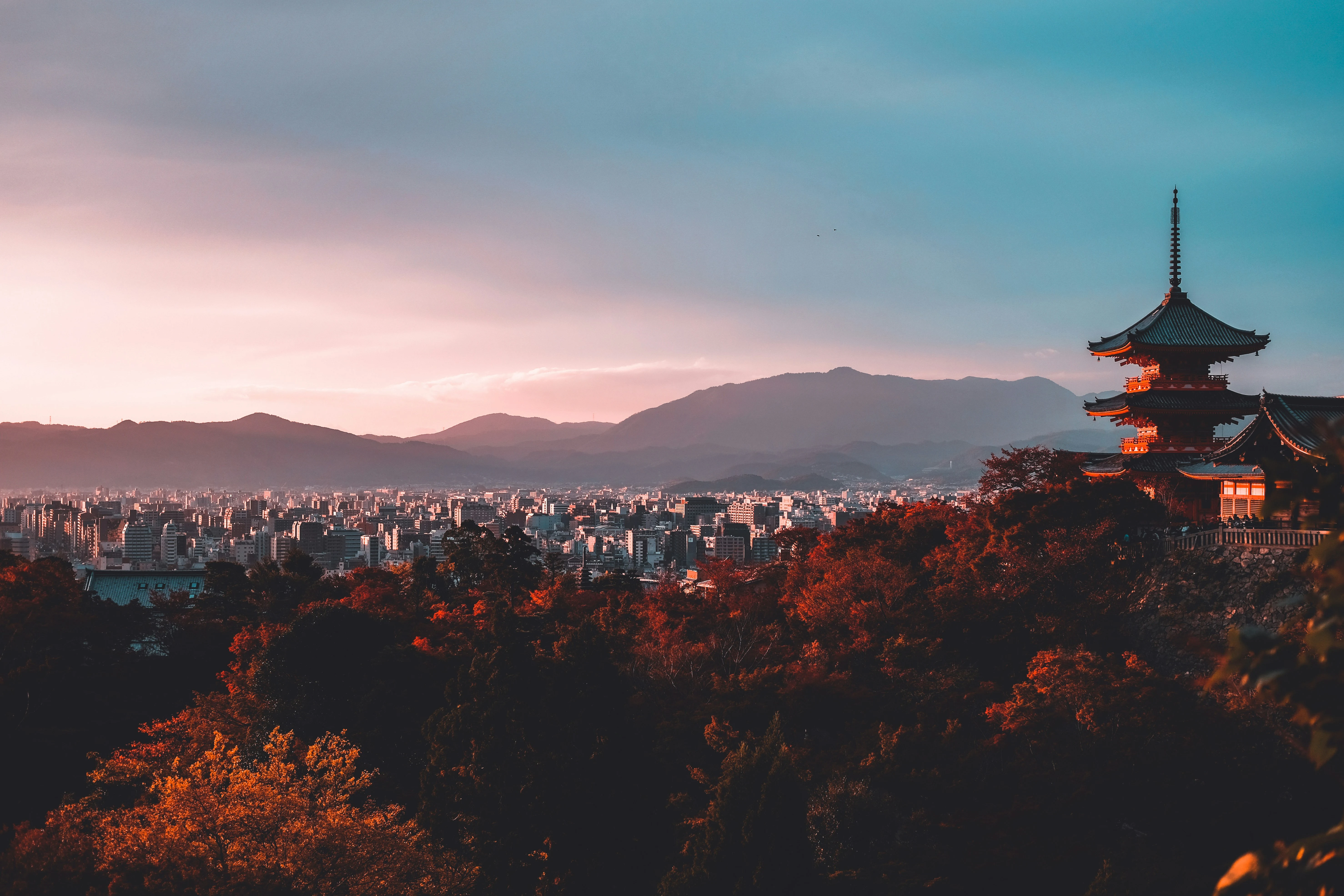 Best time to visit Japan: a month-by-month guide for 2026–2027