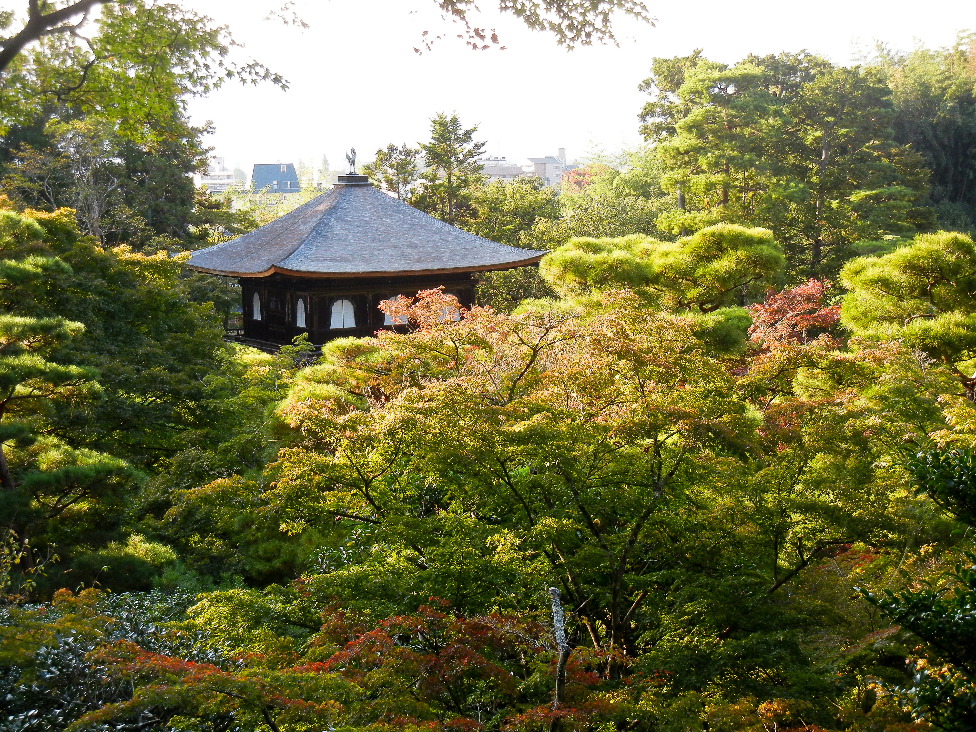 Autumn foliage at Ginkaku-ji in late November
