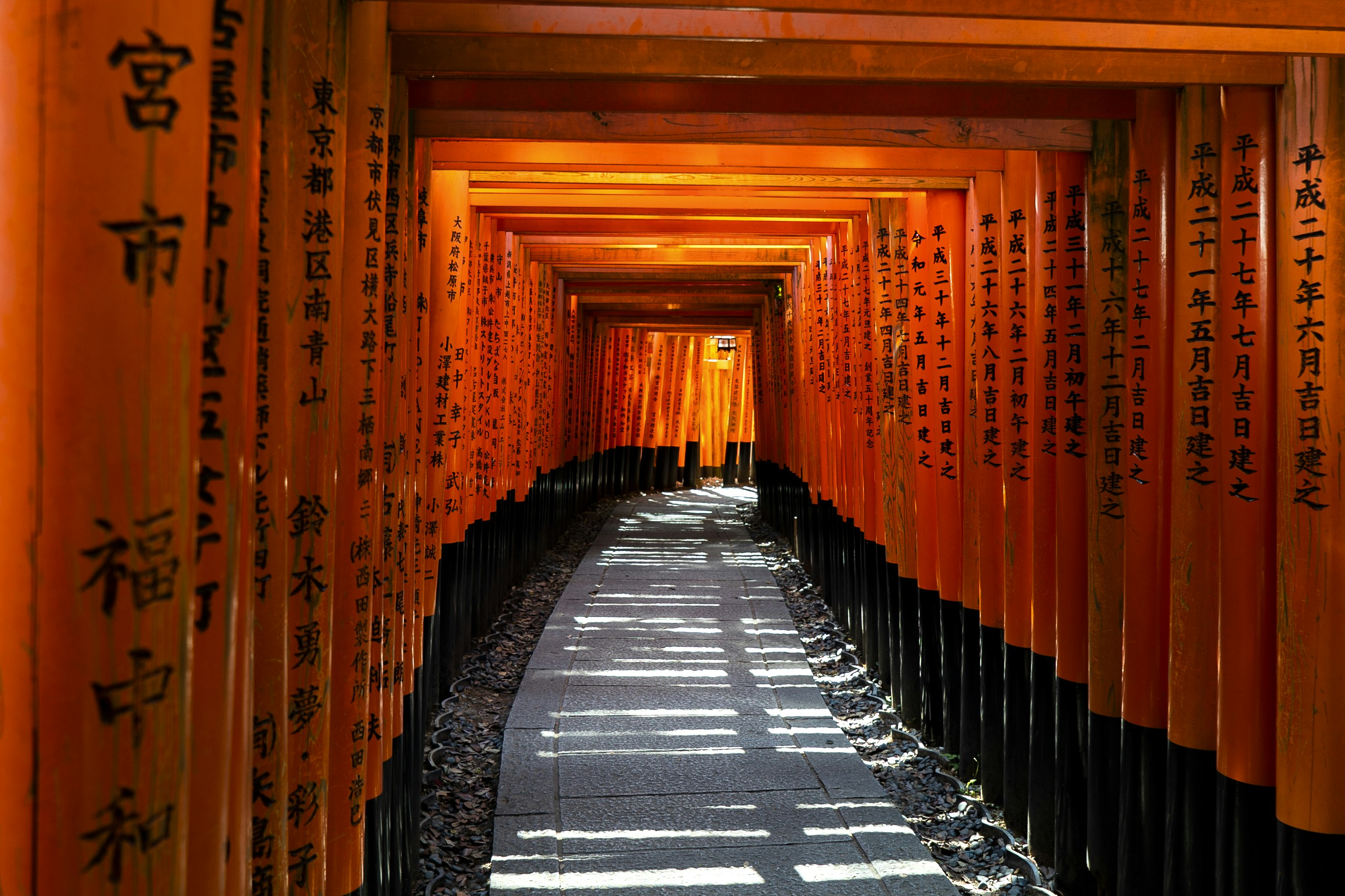 Empty torii tunnel at Fushimi Inari in early morning