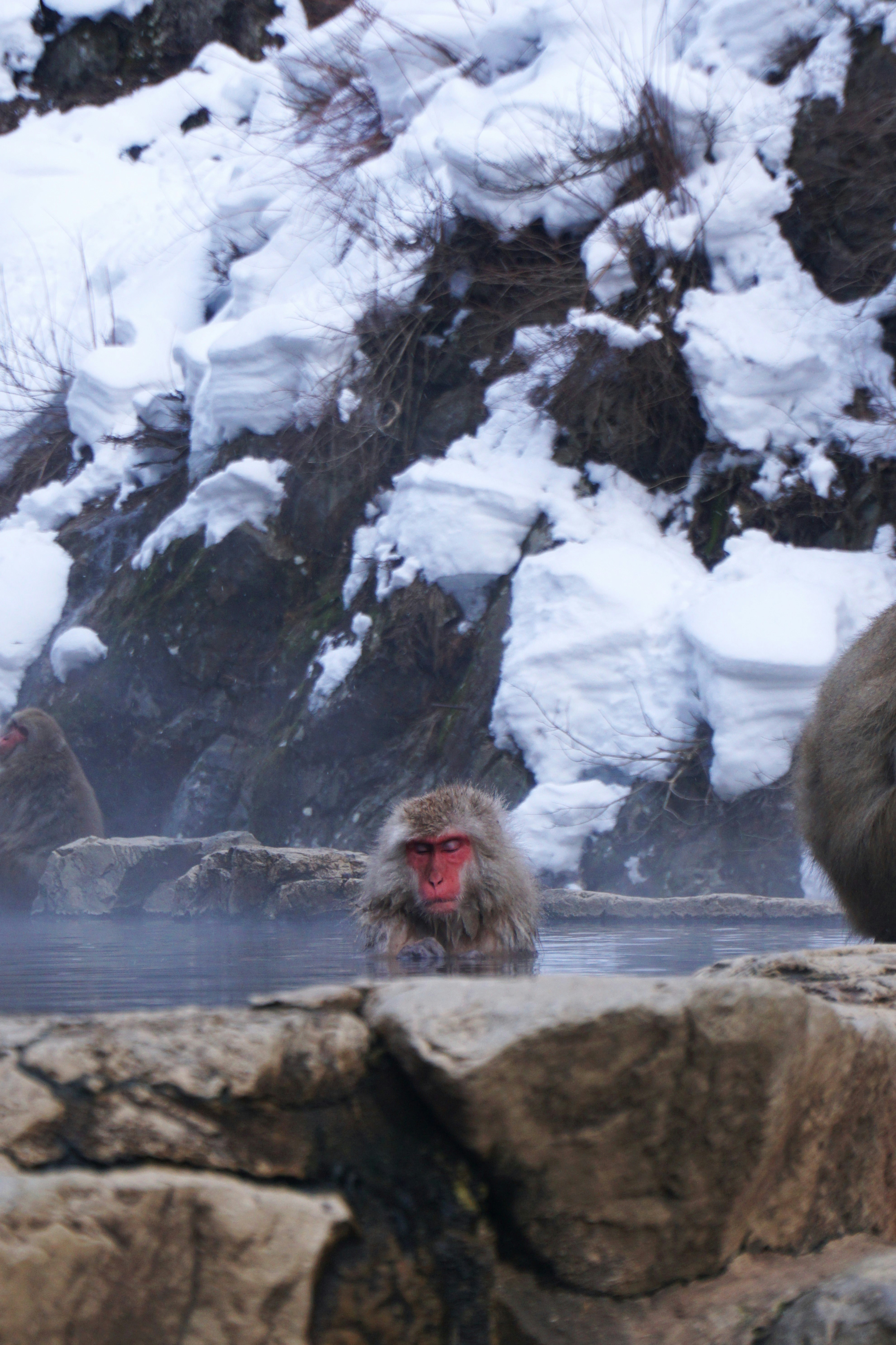 Steam rising from an outdoor onsen bath on a frosty winter morning