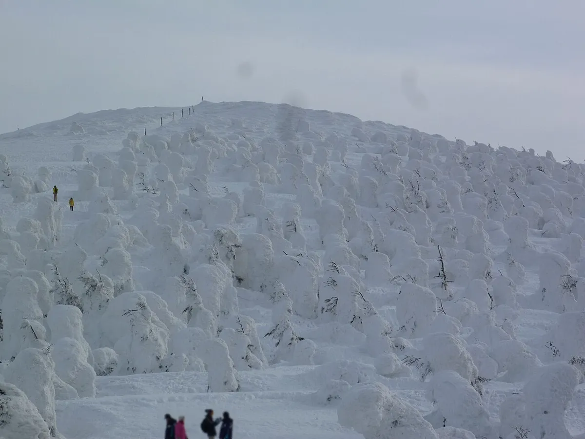 Frozen snow monster trees (juhyo) on Mount Zao