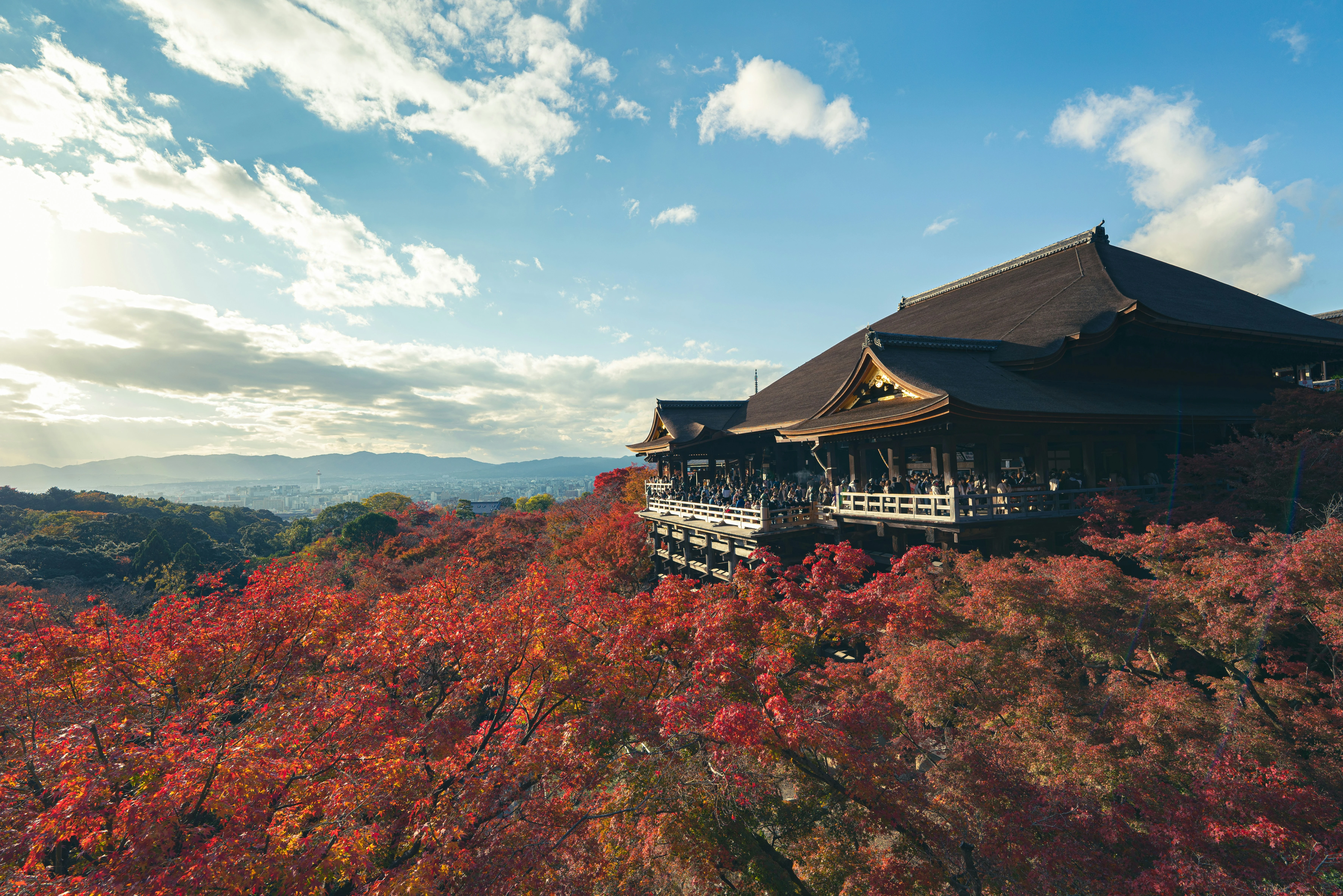 Japan in November: the complete travel guide