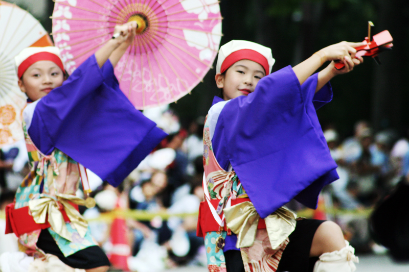 Yosakoi Festival