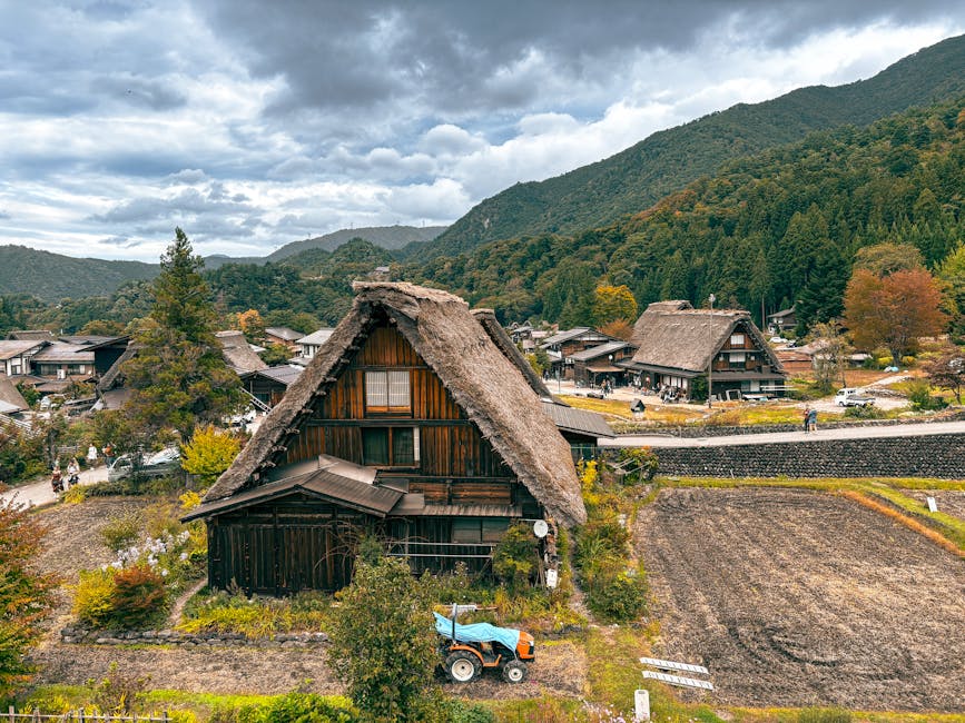 Miyoshi (Iya region)