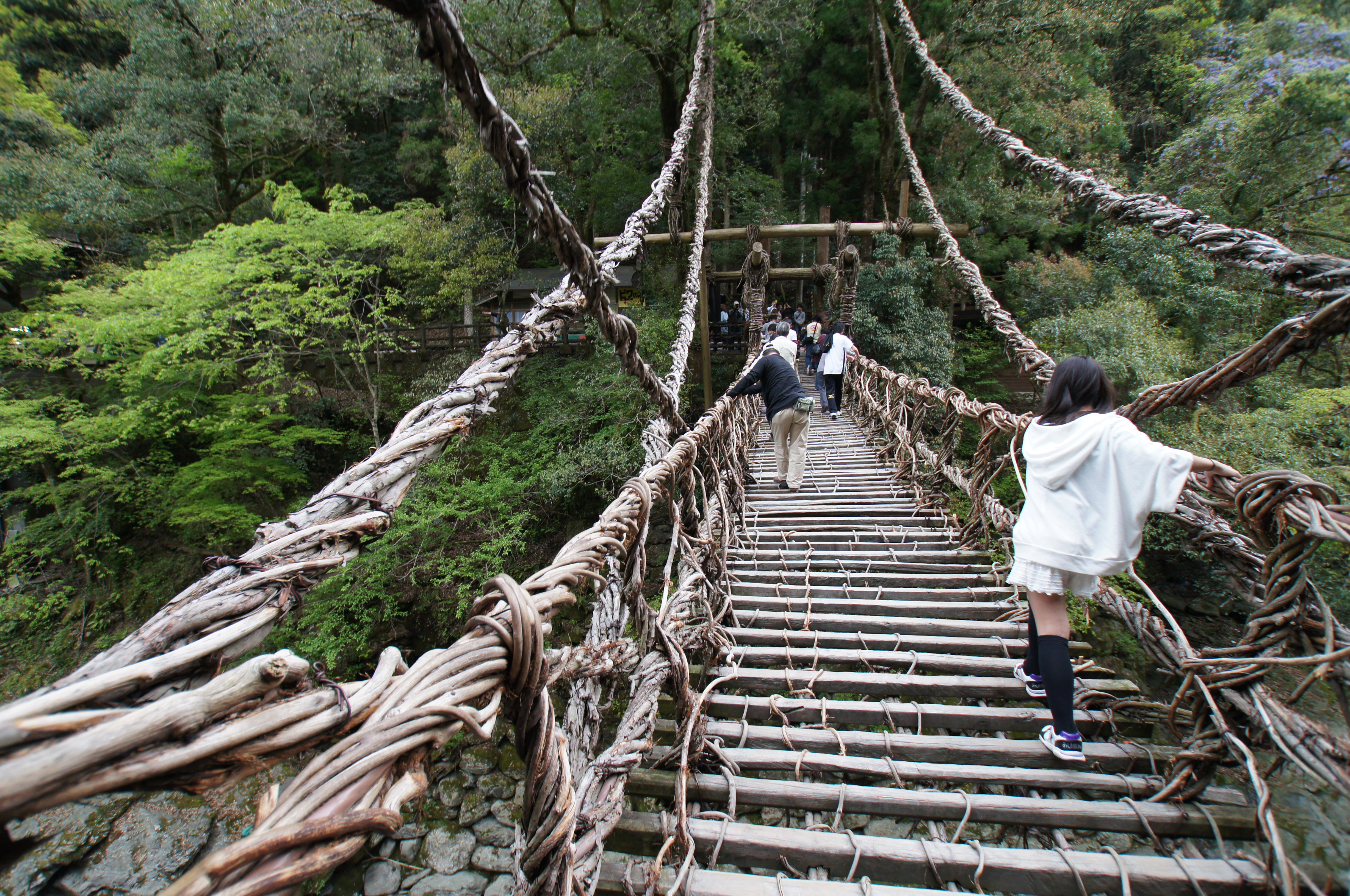 Kazurabashi vine bridges