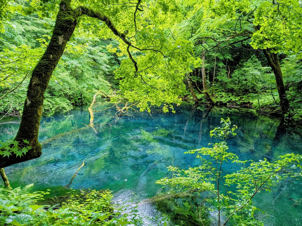 Juniko Lakes (Twelve Lakes) in Aomori