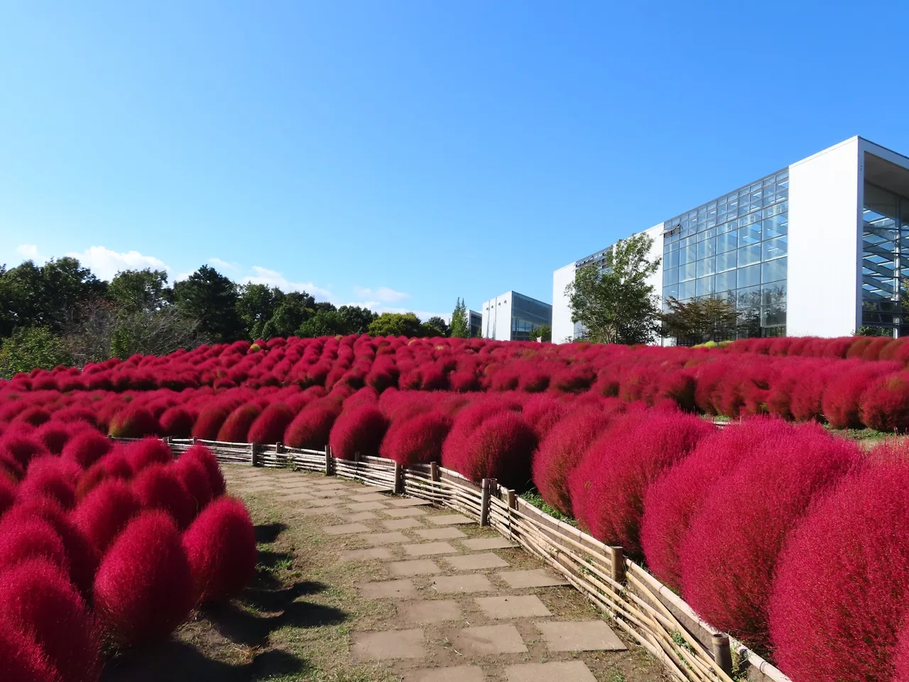 Oita Agricultural Park