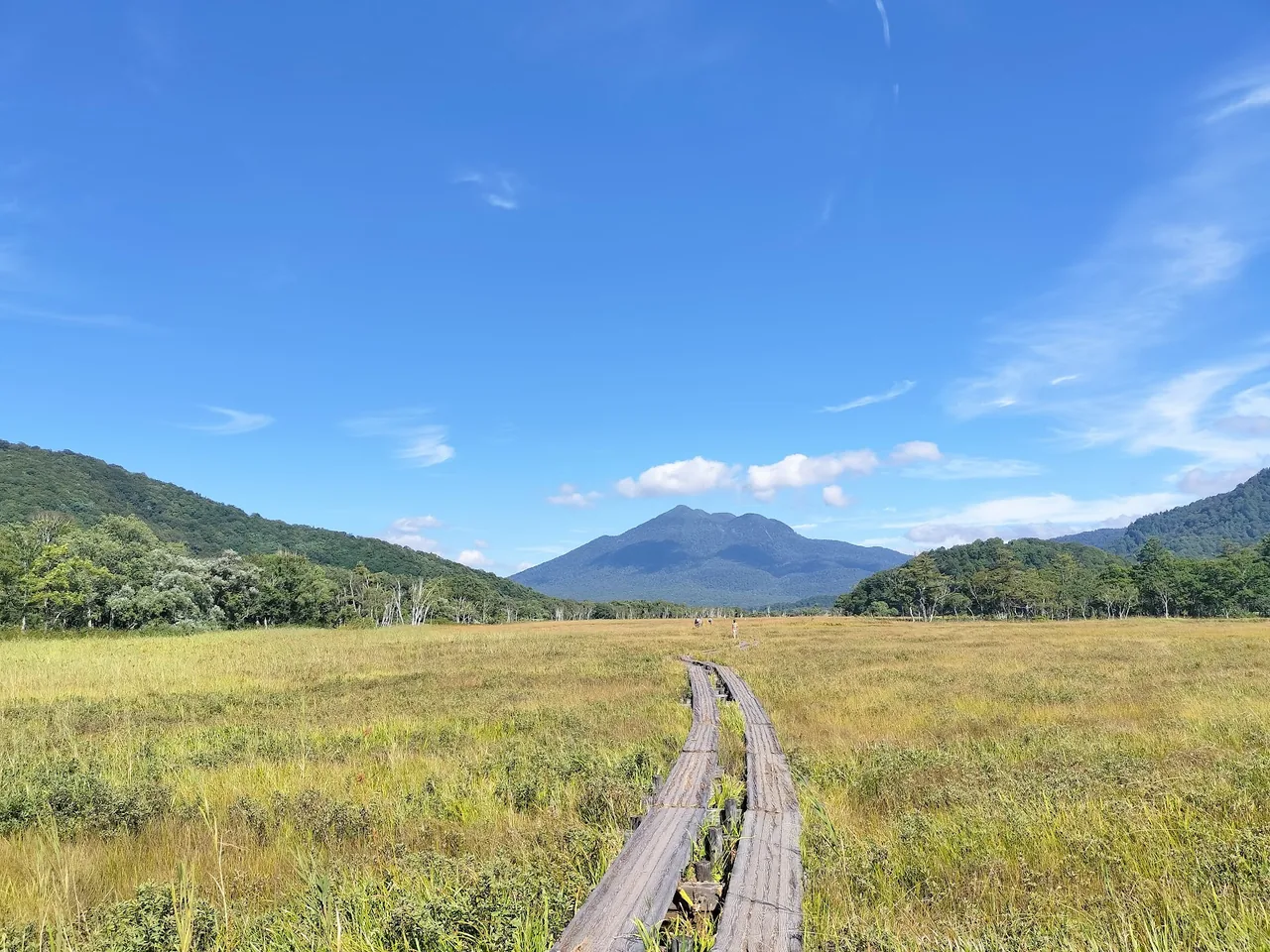 Oze National Park in Gunma