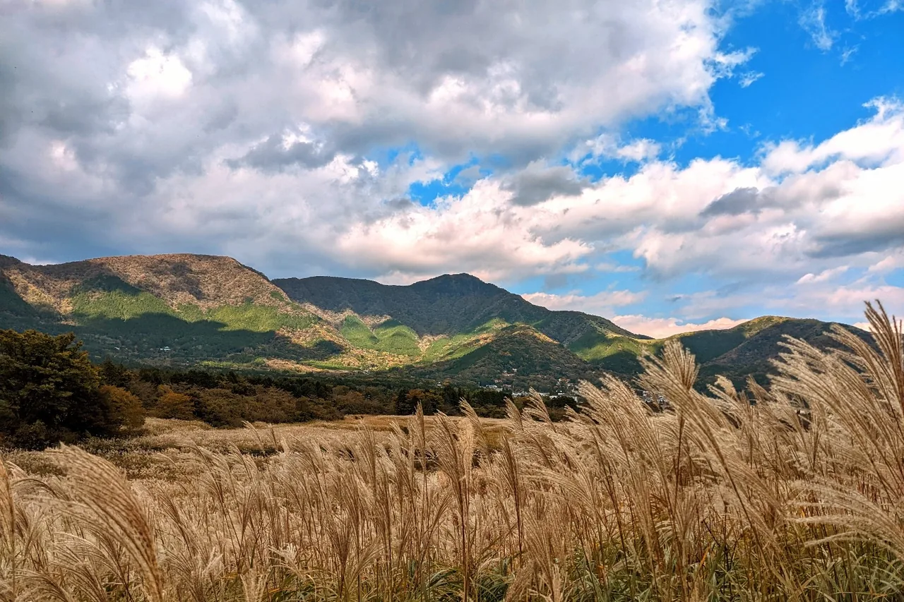 Sengokuhara Susuki Grass Fields