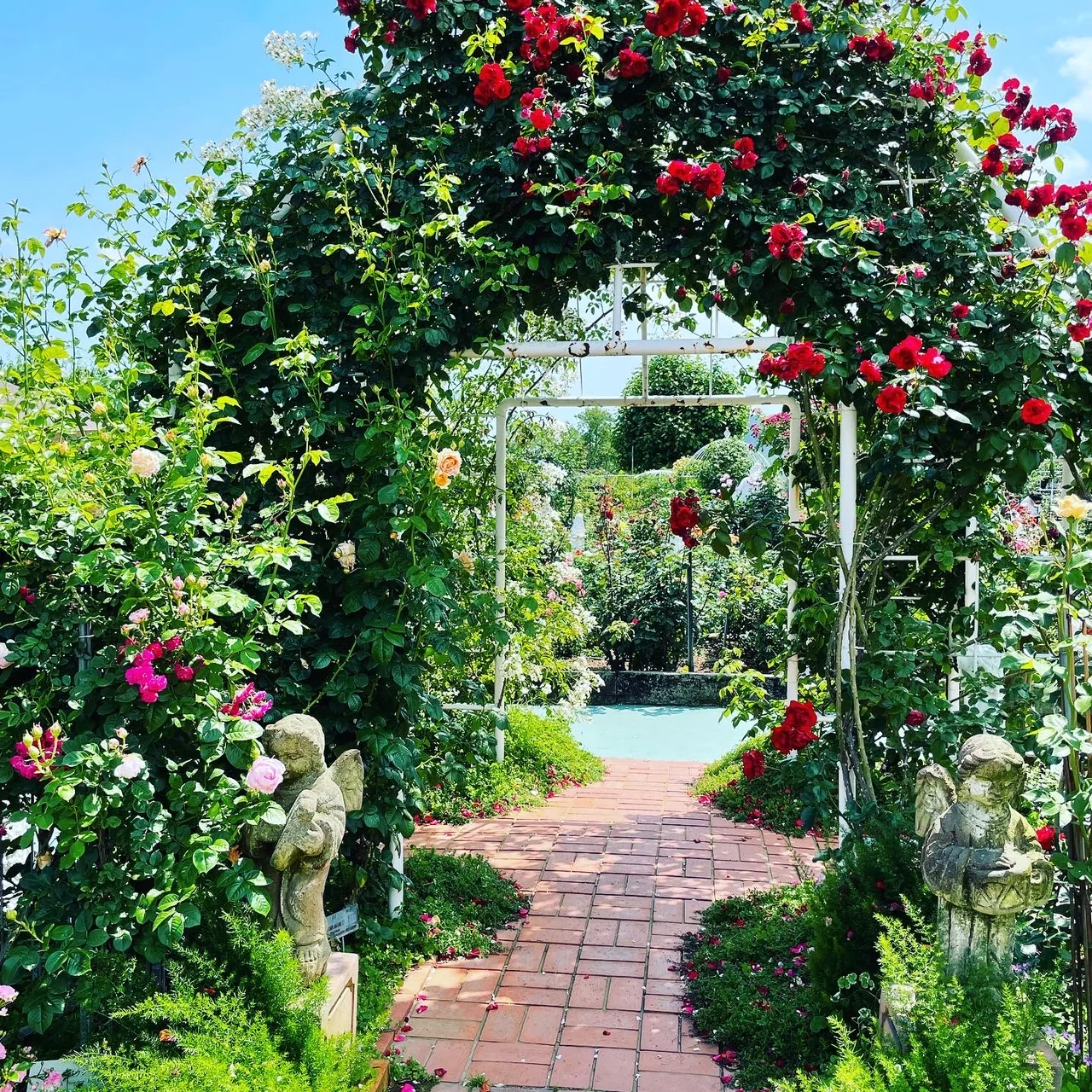 Himeji Rose Garden