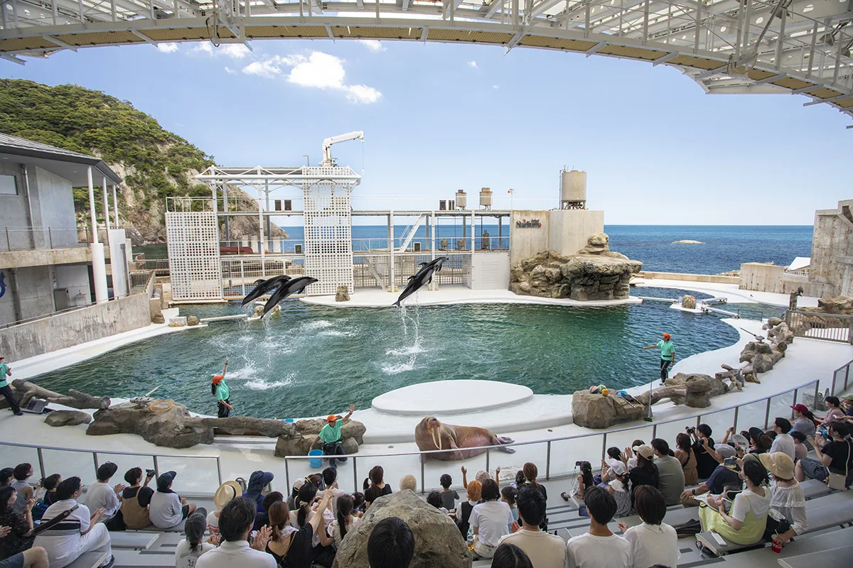 San'in Kinosaki Marine World in Hyogo