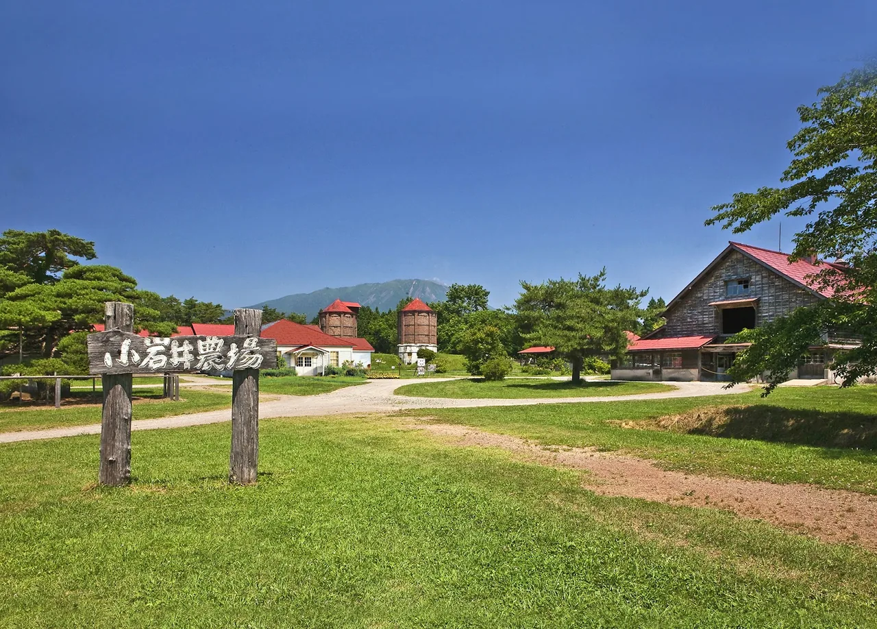 Koiwai Farm