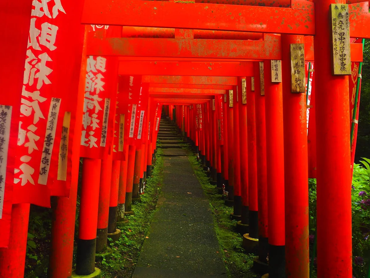 Sasuke Inari Shrine in Kamakura