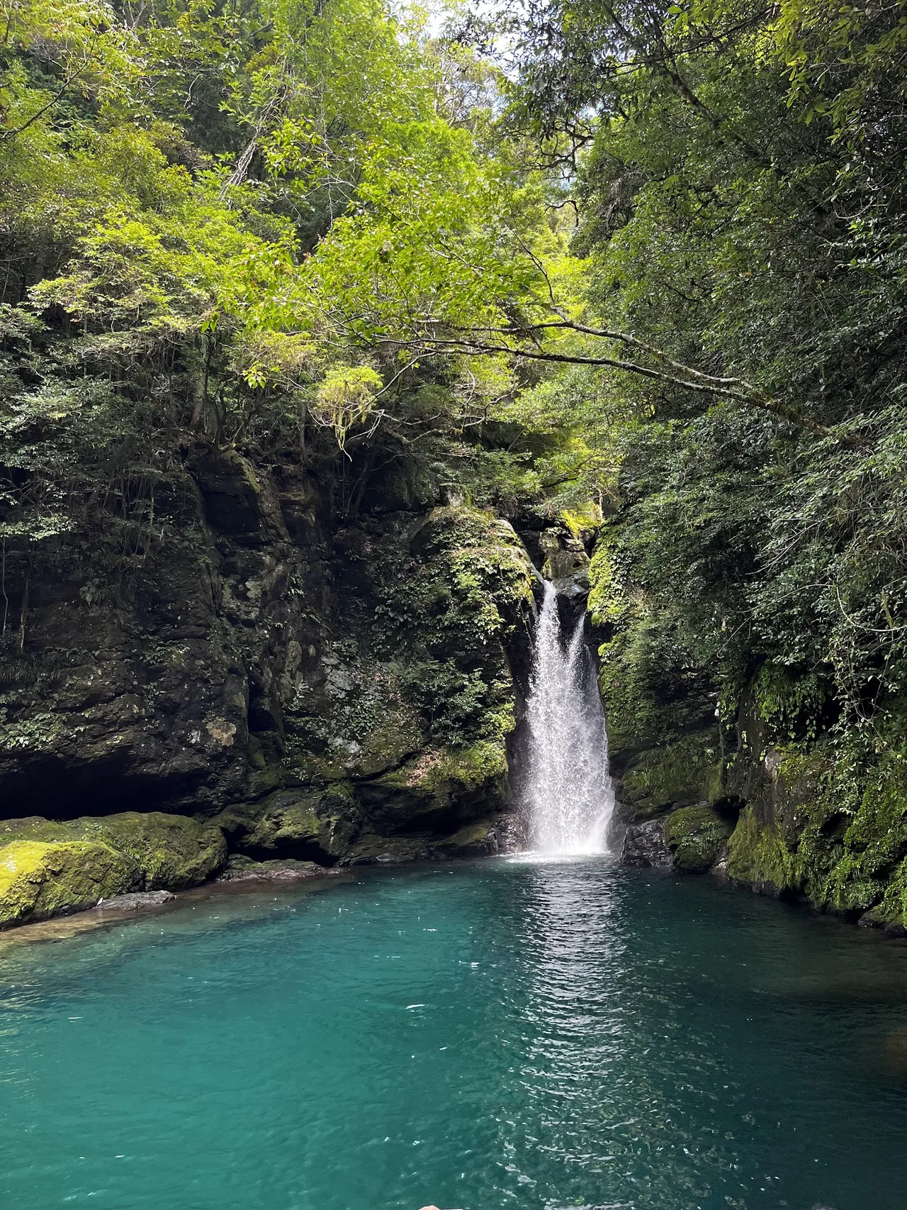 Niyodo River