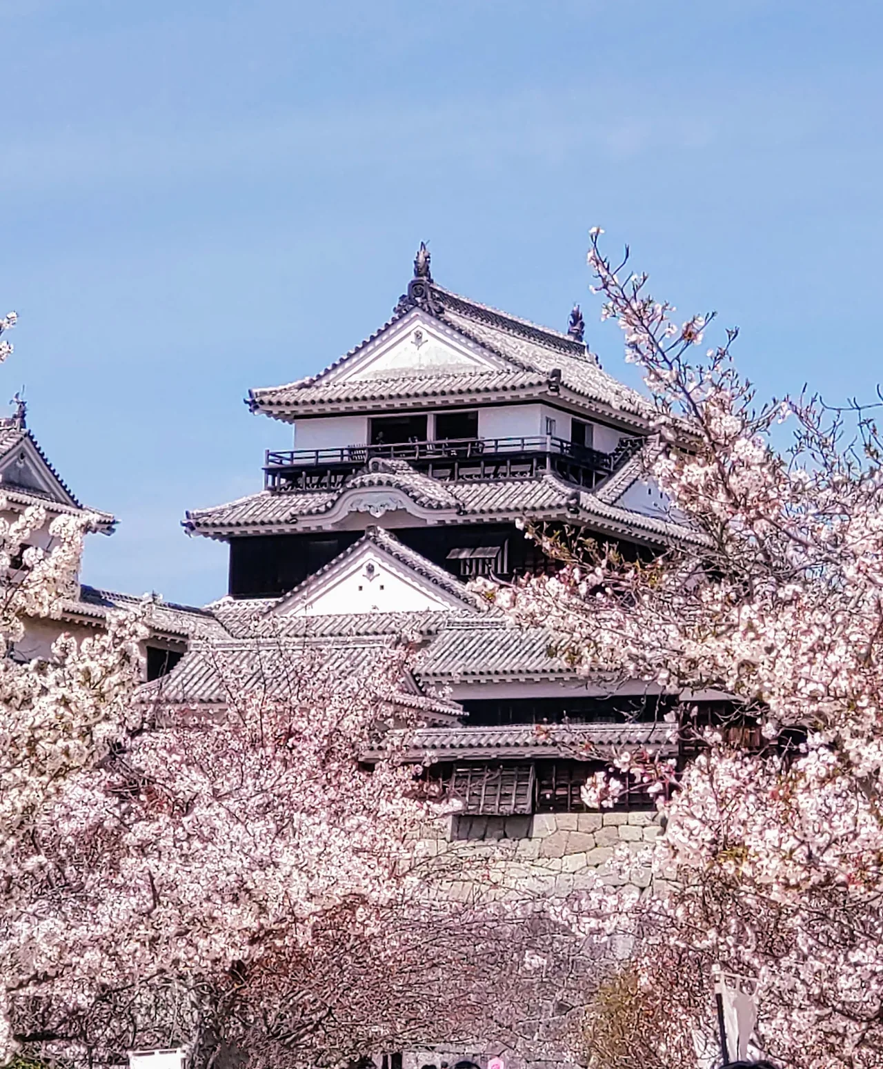 Matsuyama Castle in Matsuyama