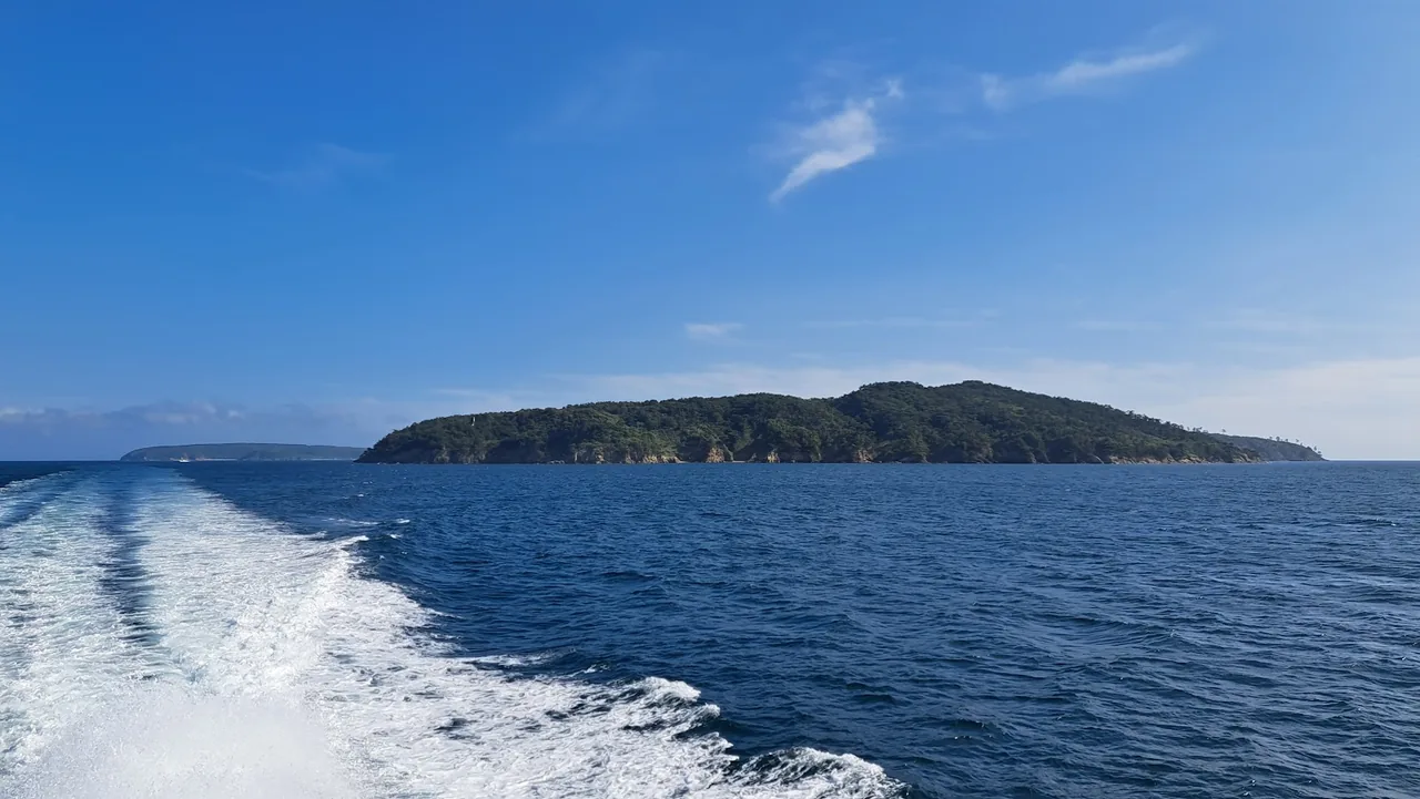 Tashirojima Cat Island in Miyagi