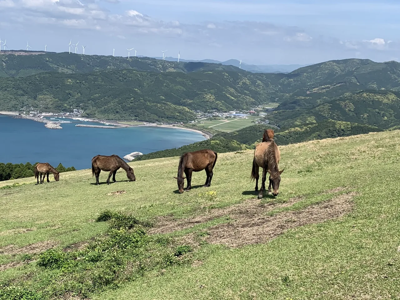 Cape Toi in Miyazaki