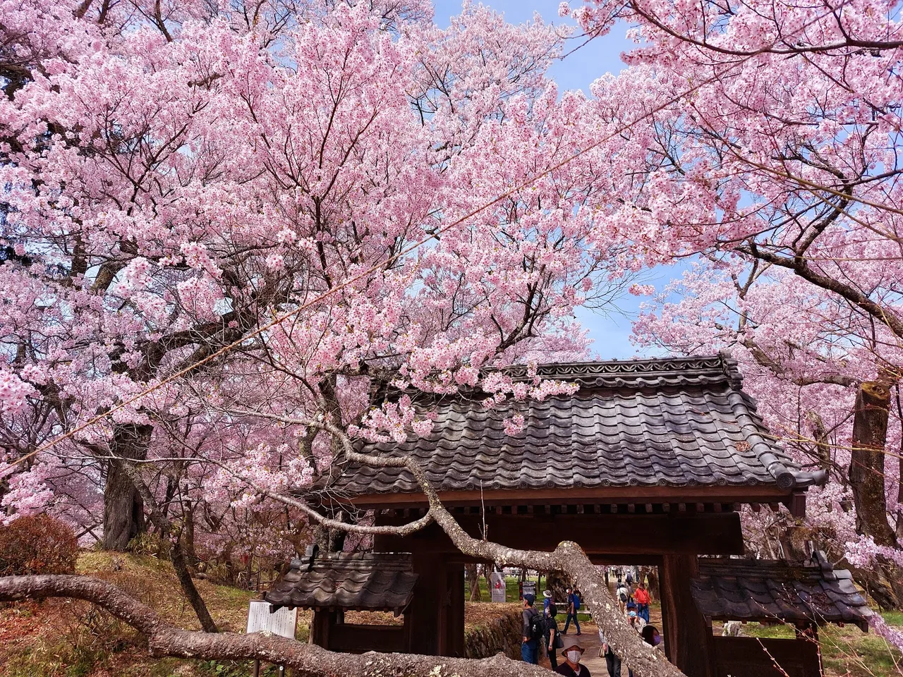 Takato Castle Park in Nagano