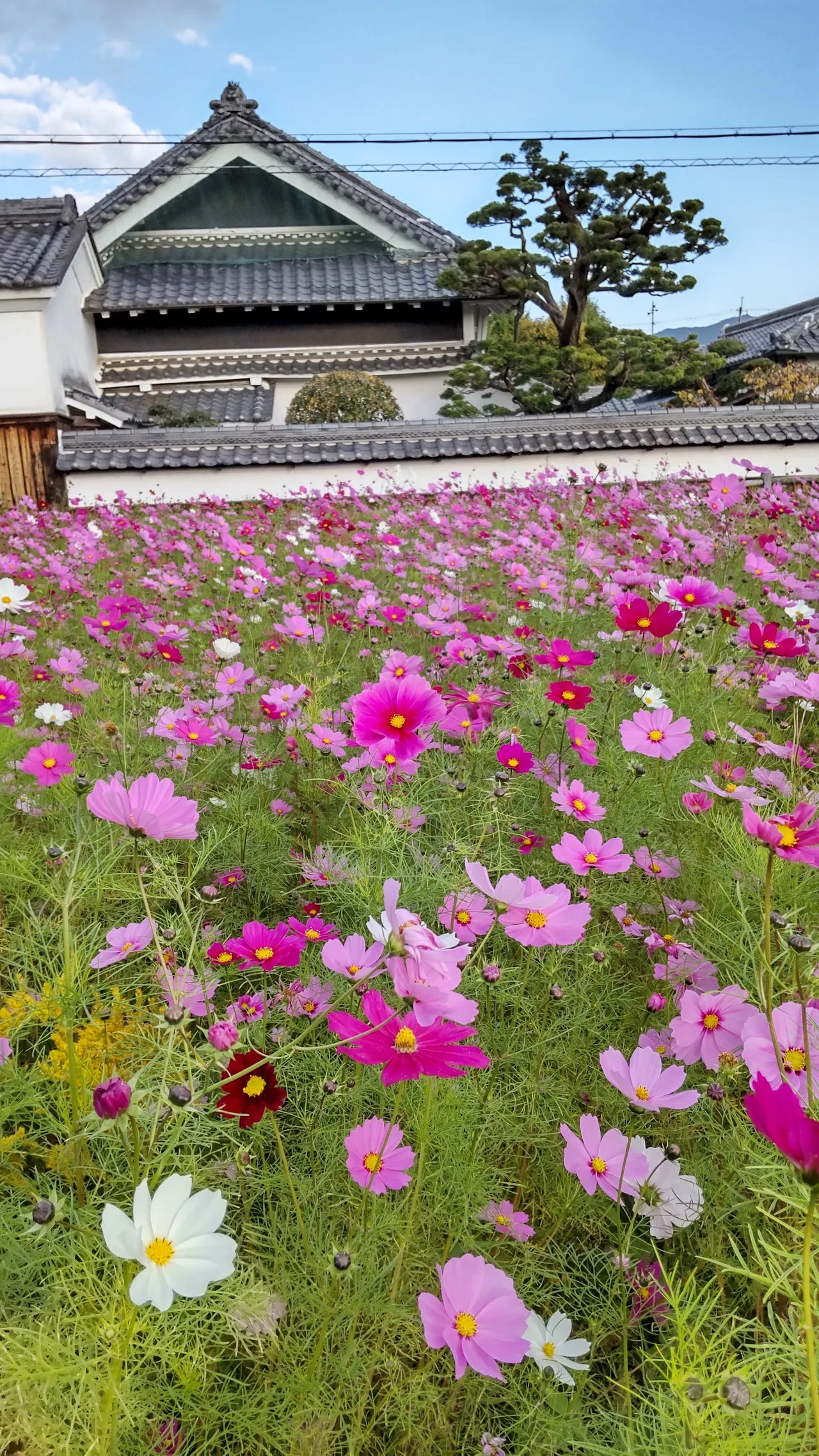 Asuka Village in Nara