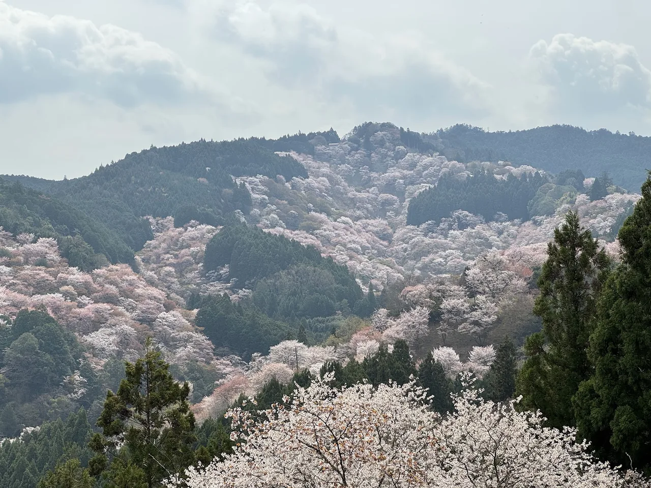 Mount Yoshino in Nara