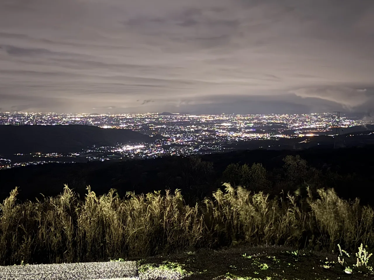 Mt. Ikoma Observation Deck