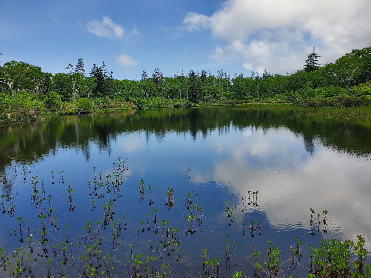 Shinsen-numa Marsh Parking Lot & Observation Deck