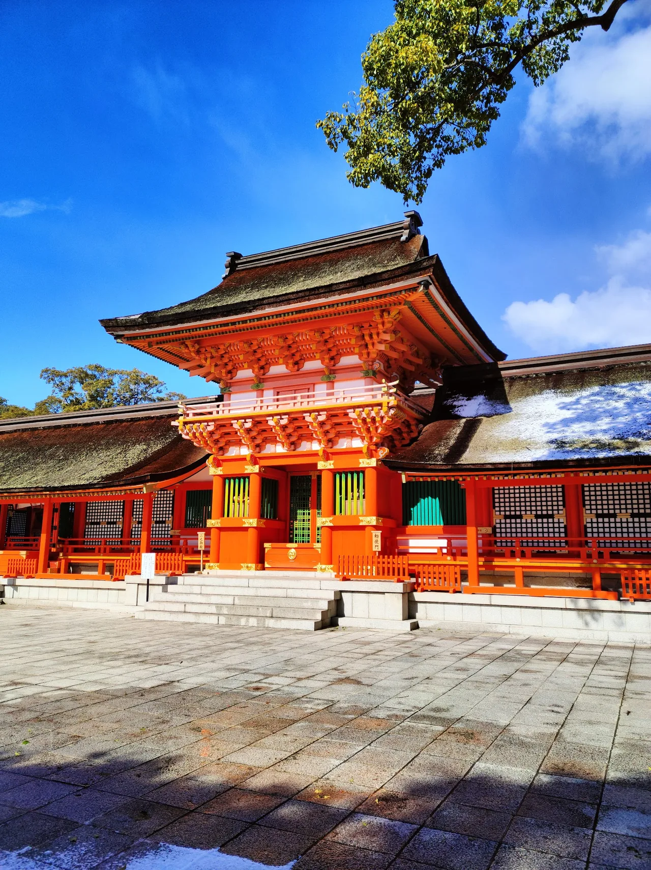 Usa Jingu