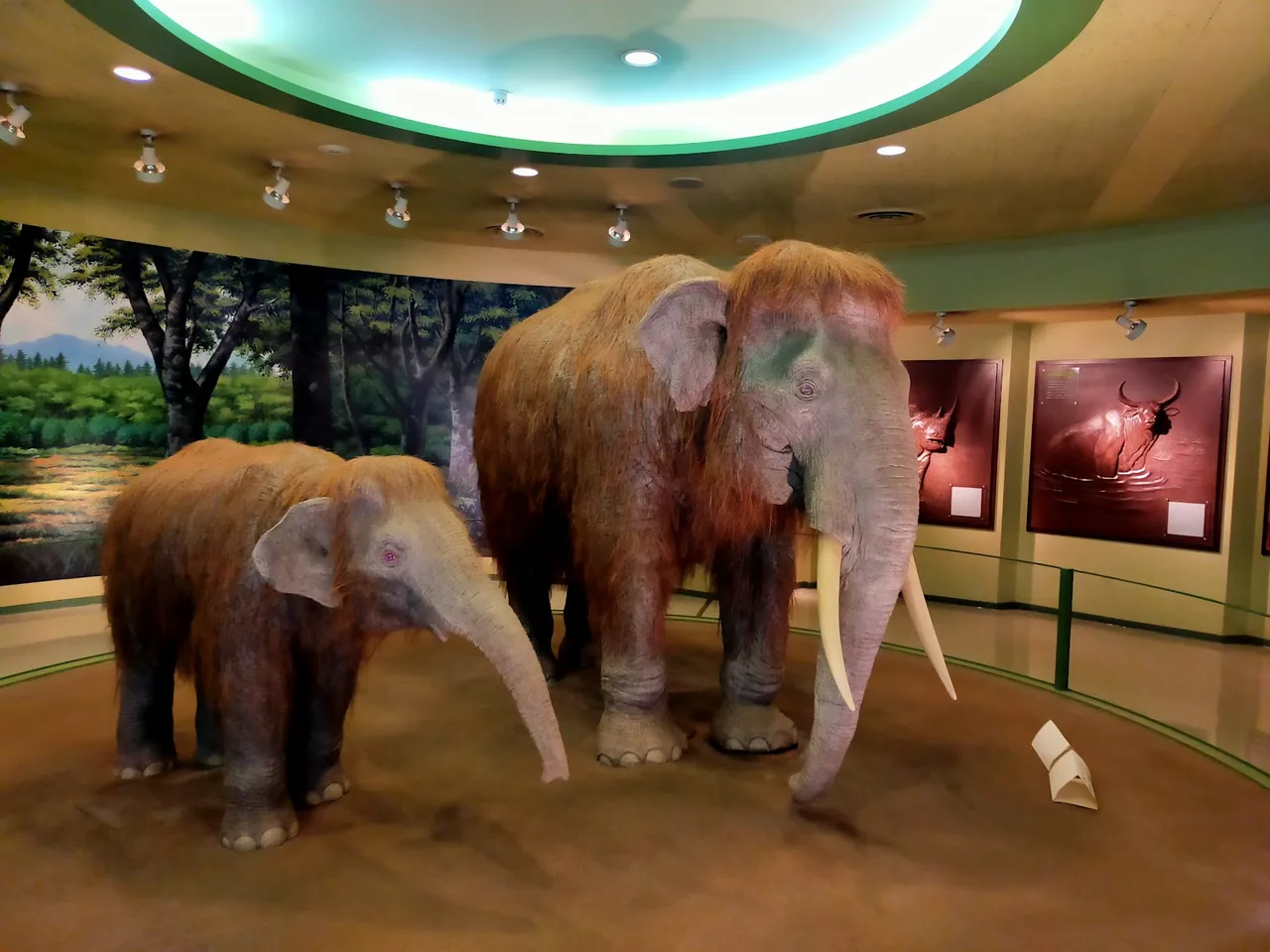 Kurashiki Museum of Natural History