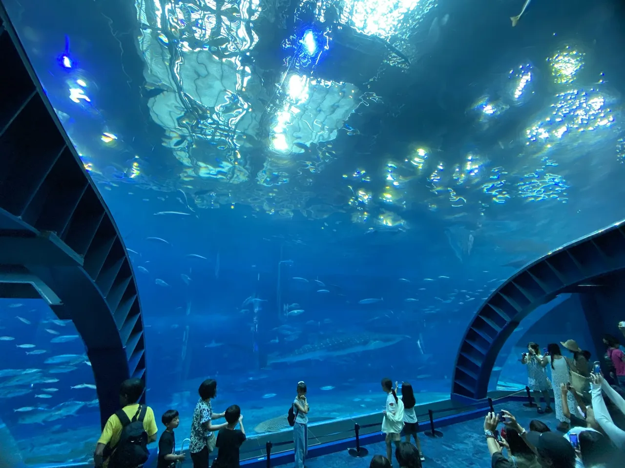 Okinawa Churaumi Aquarium in Okinawa