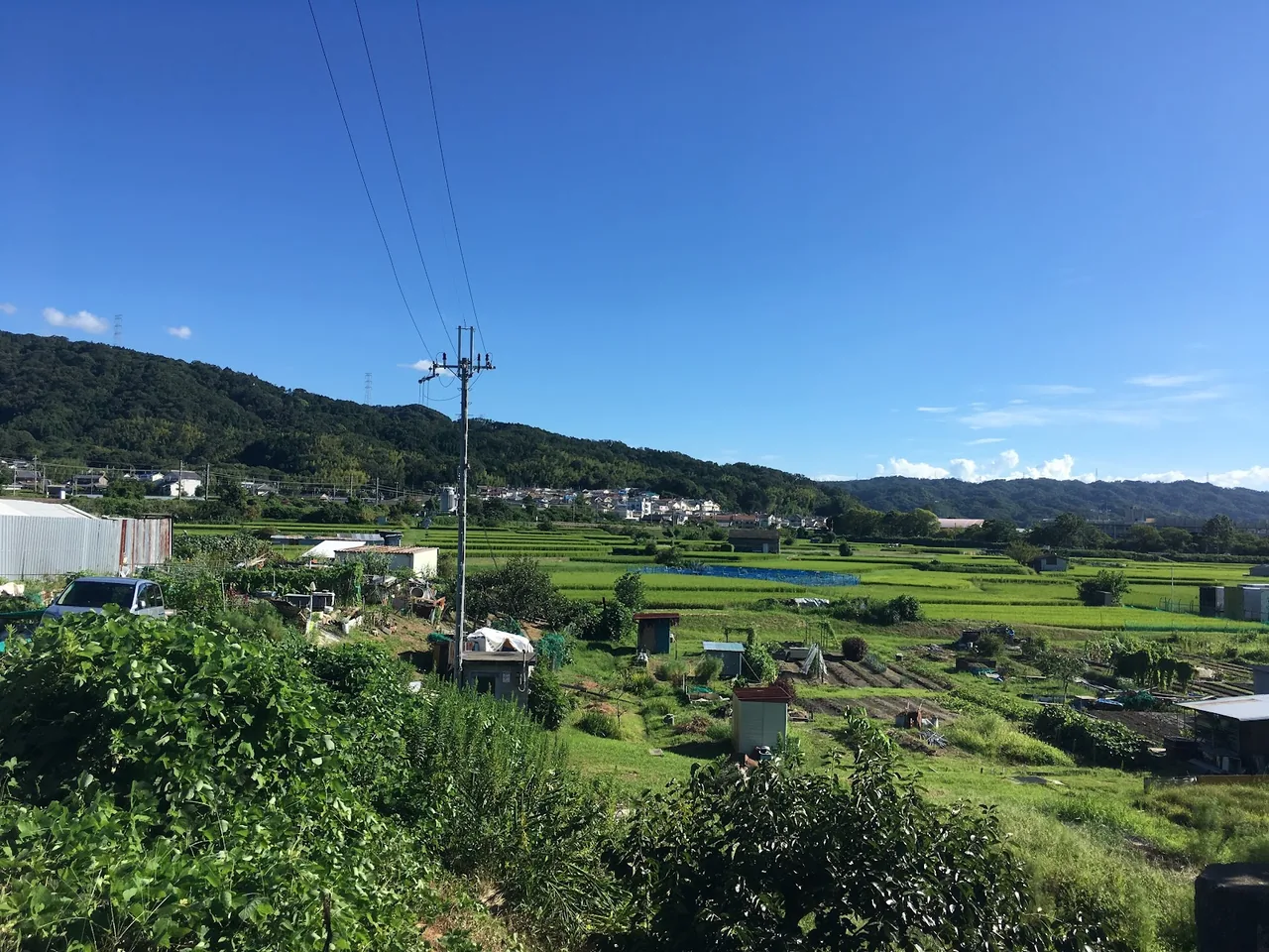 Katano