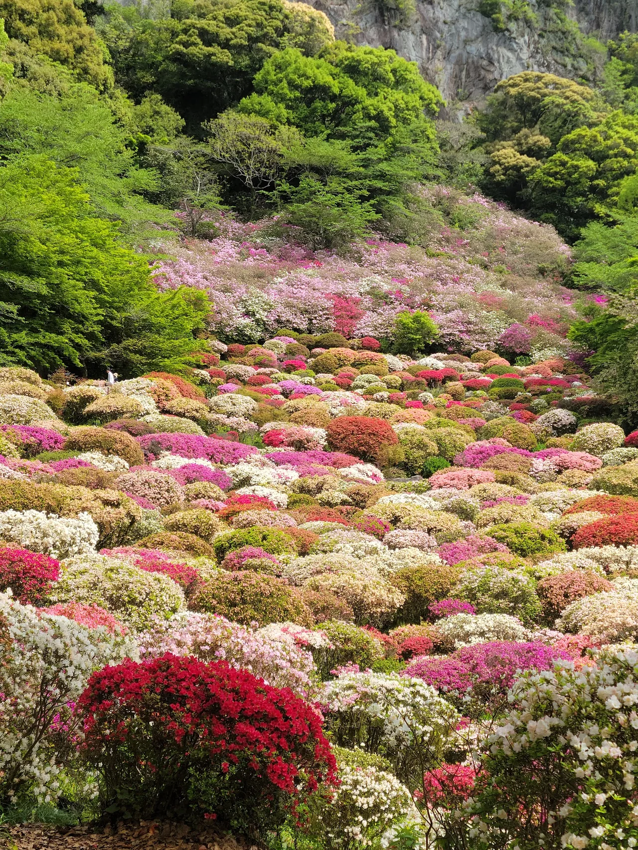 Mifuneyama Rakuen in Saga