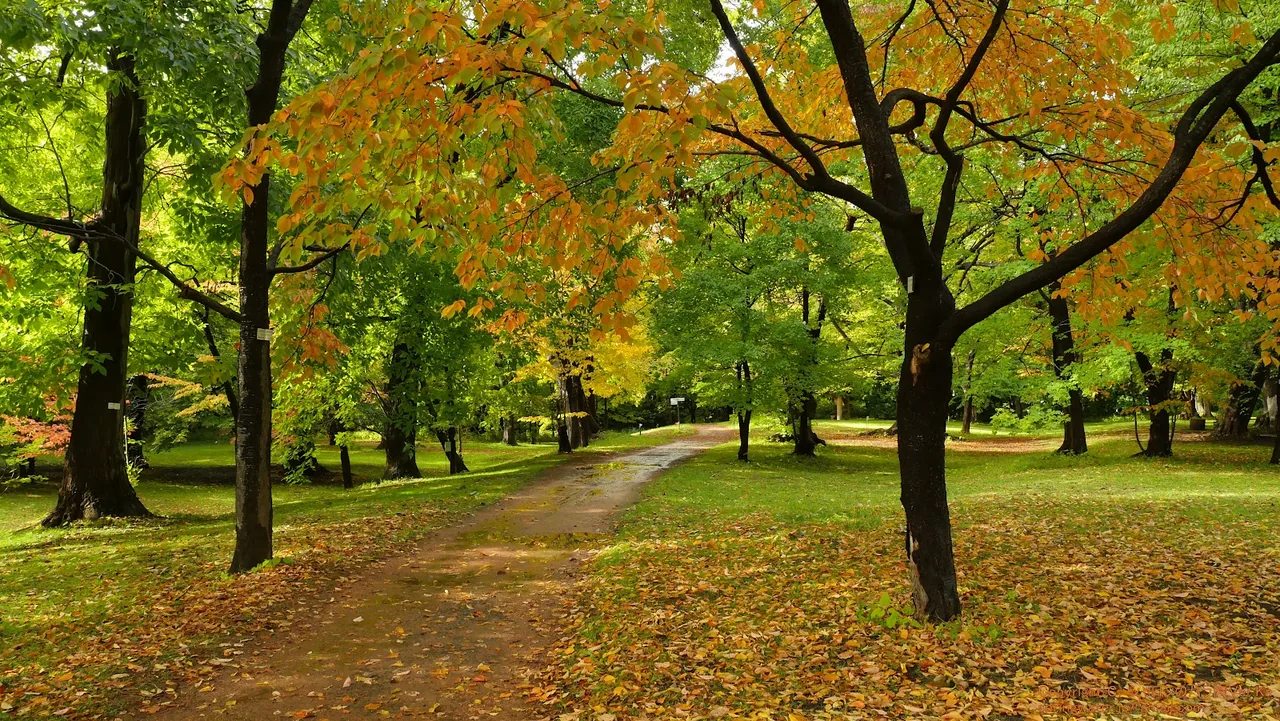 Botanic Garden Hokkaidō University