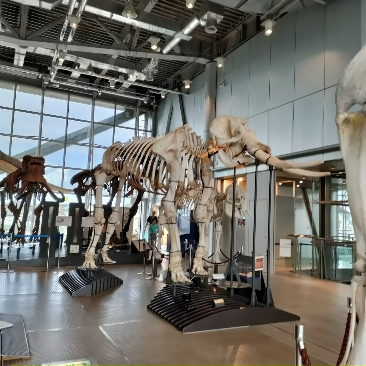 HOKUSHU Sendai City Science Museum