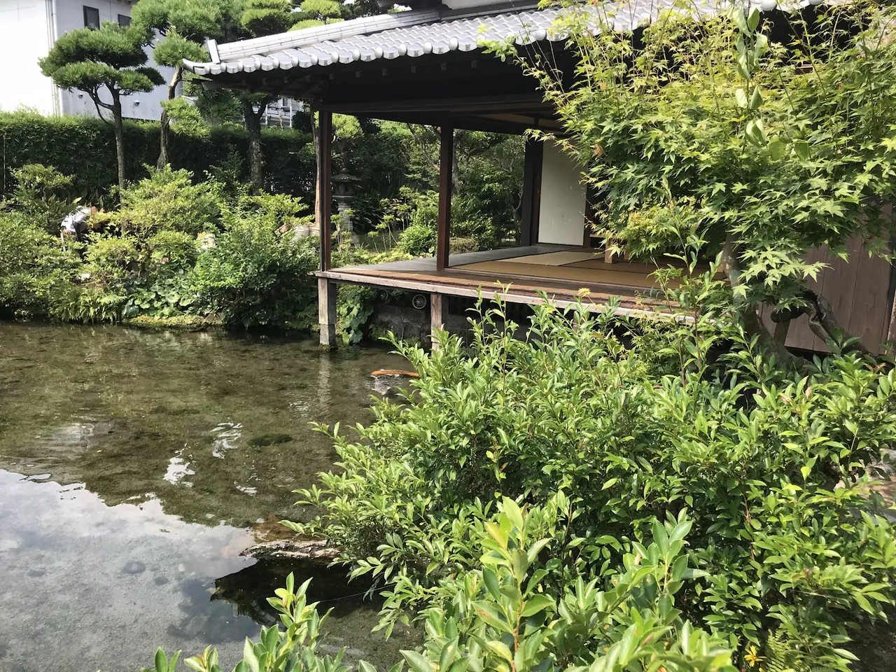Koi no oyogu machi street