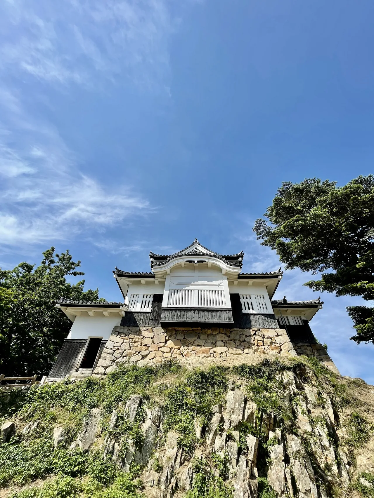 Bitchu Matsuyama Castle in Takahashi