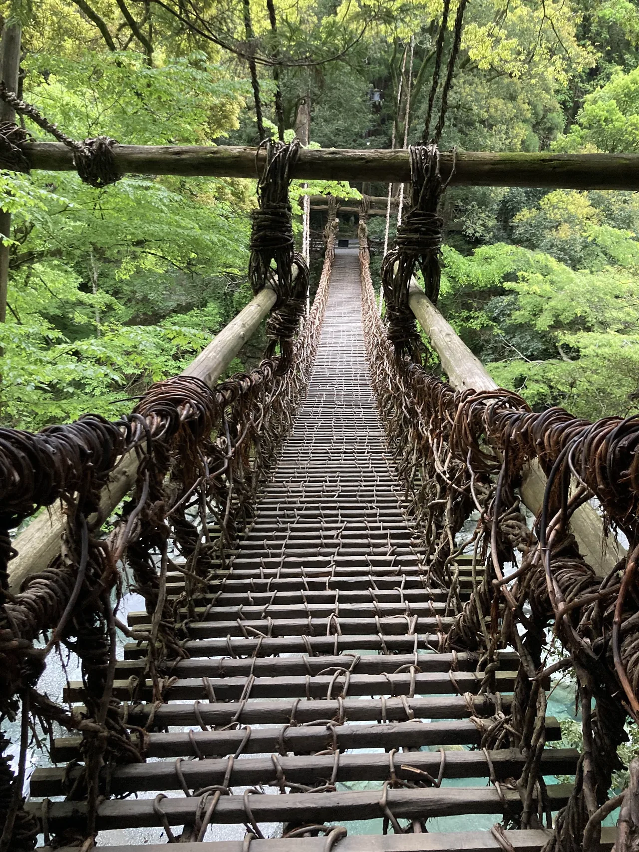 Kazurabashi vine bridges