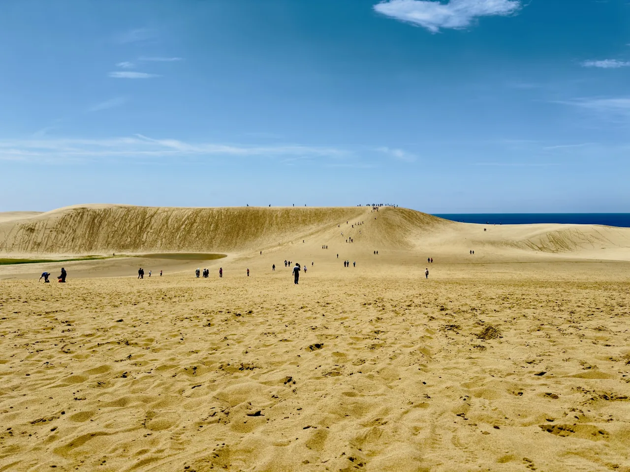 Tottori Sand Dunes in Tottori