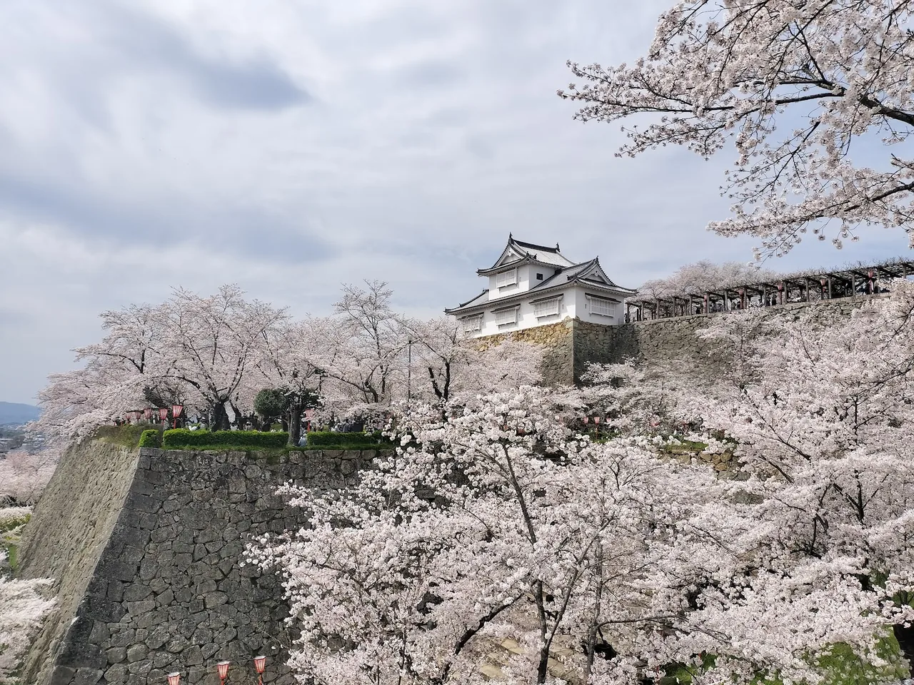 Tsuyama Castle in Tsuyama