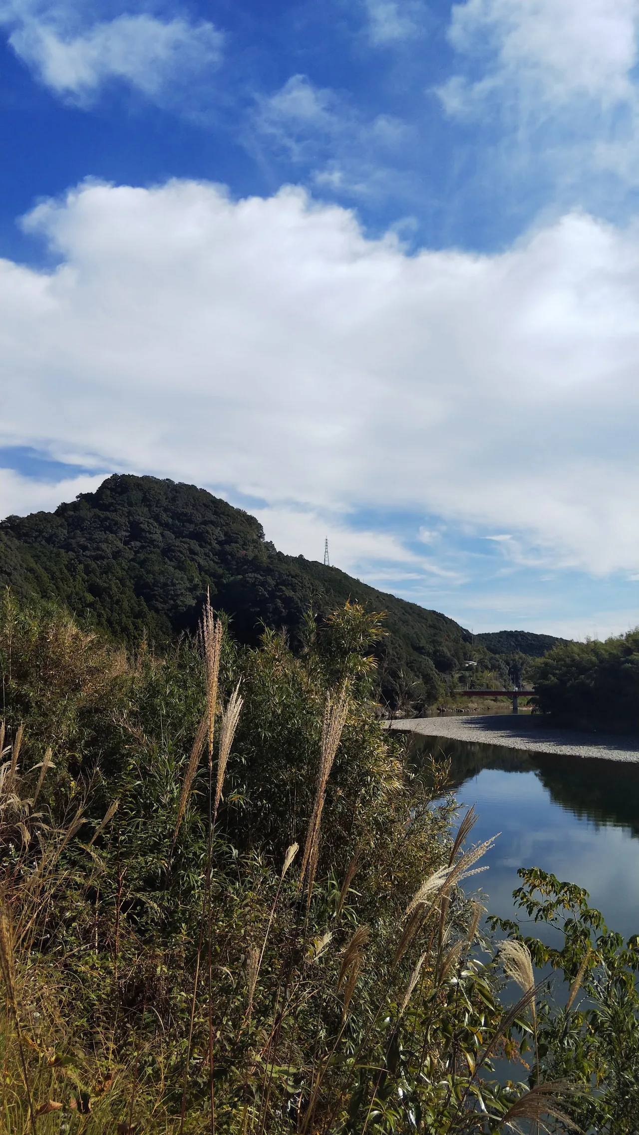 Kozagawa in Wakayama