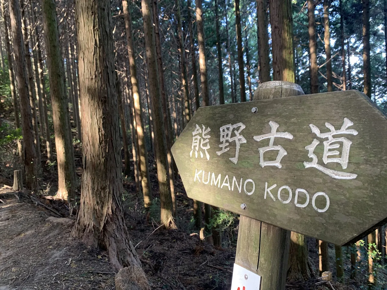 Kumano-Kodo Nakahechi Route (Chikatsuyu-Oji - Kobiro-Oji Section) in Wakayama
