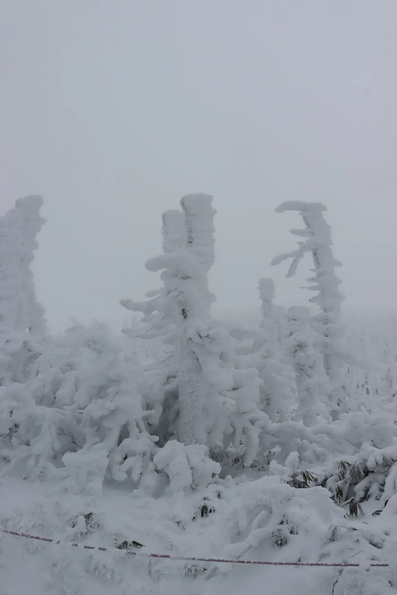Zao Onsen in Yamagata