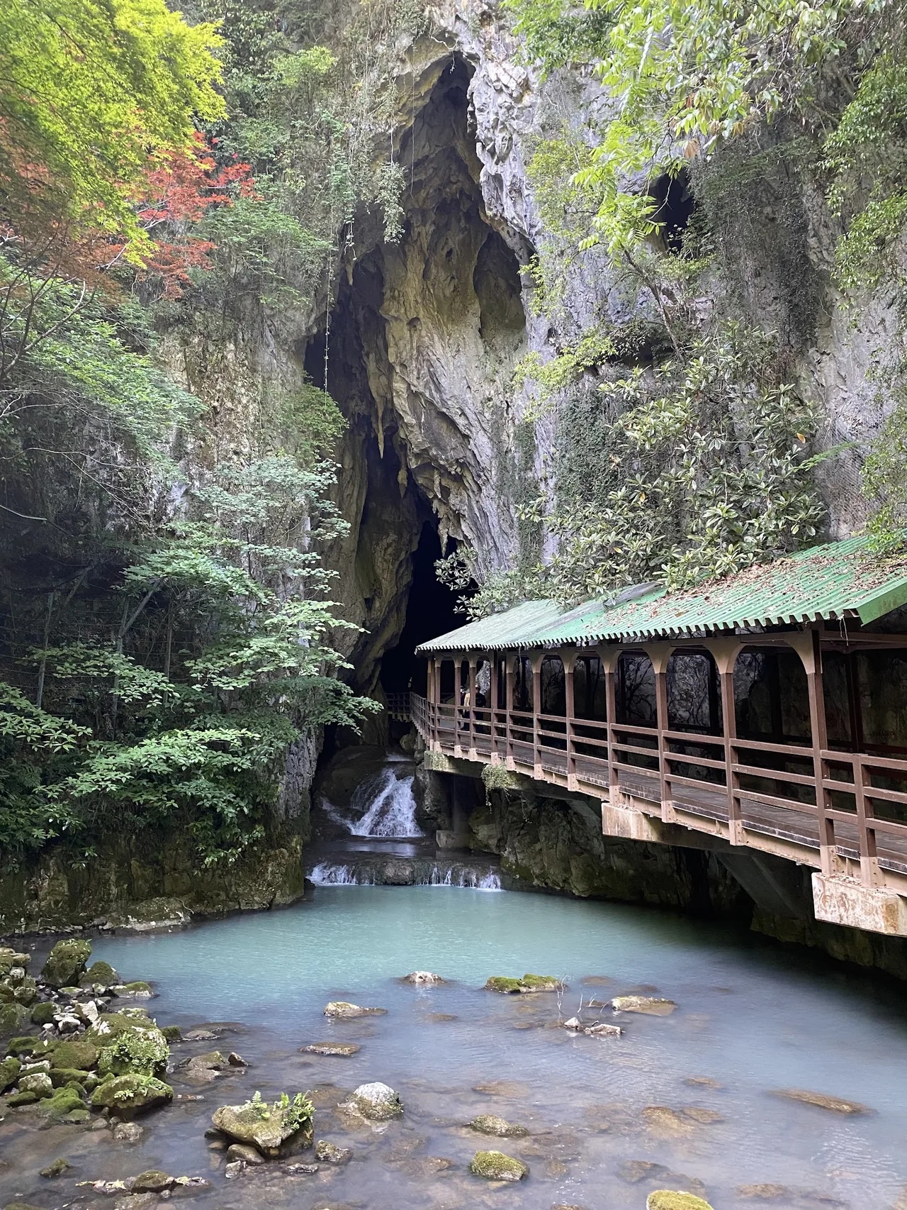 Akiyoshidai Quasi-National Park in Yamaguchi