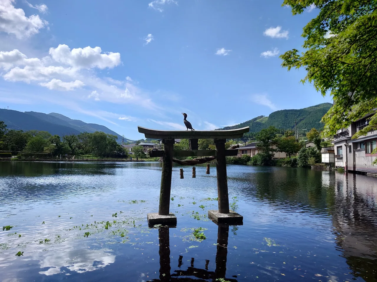 Tenso shrine (next to Kirin lake)
