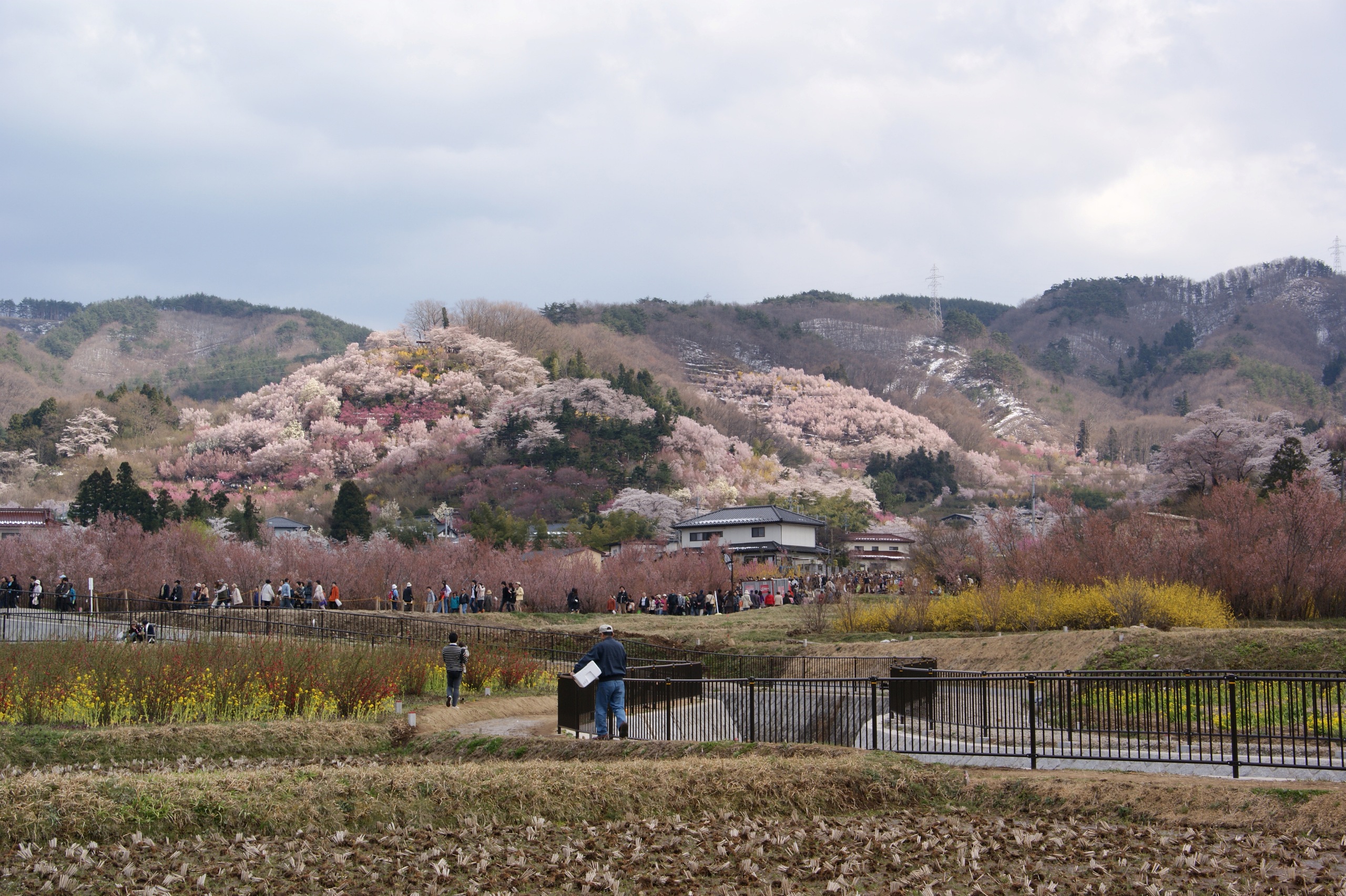Fukushima City