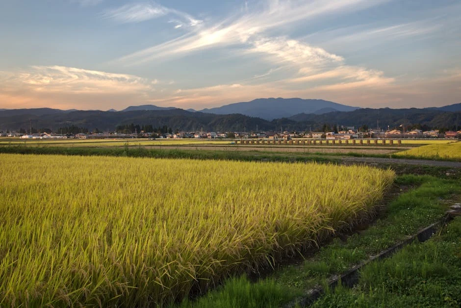 Yamagata Prefecture